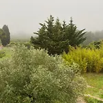 Mas Des Tournevents
