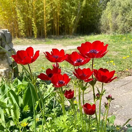 Mas Des Tournevents Bed & Breakfast