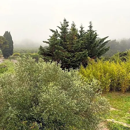 לינה וארוחת בוקר Mas Des Tournevents Lézignan-Corbières