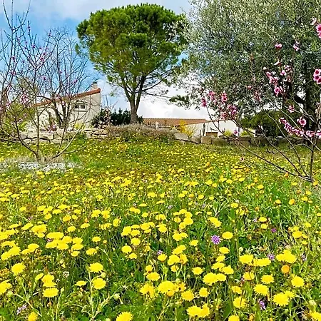 Mas Des Tournevents Lézignan-Corbières